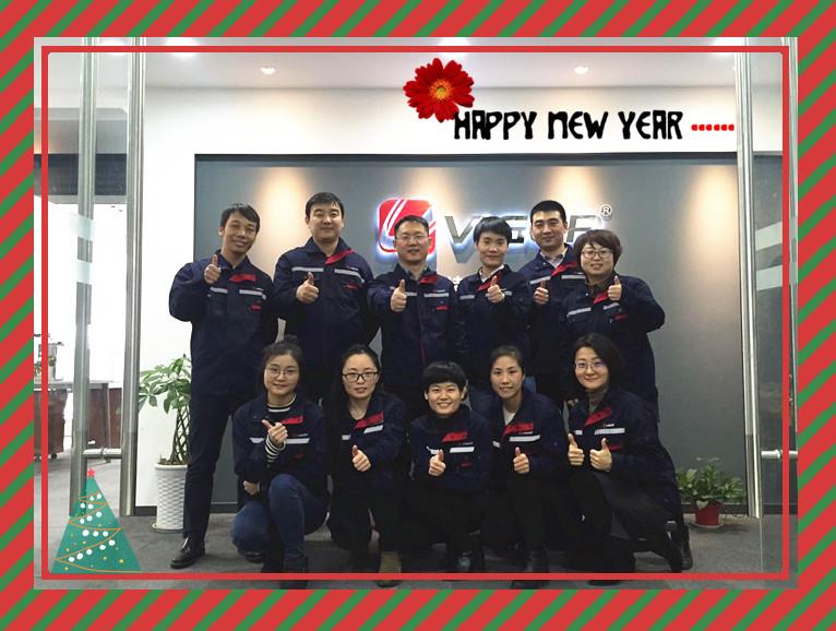 VIGOR SALES TEAM.jpg